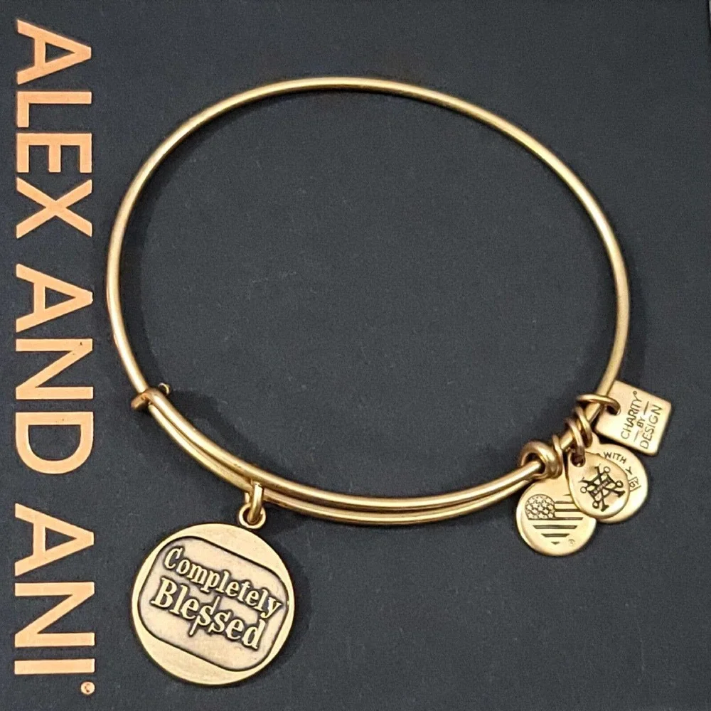 Alex and Ani Completely Blessed Charm Bracelet Positive Faith Gratitude - Picture 2 of 10